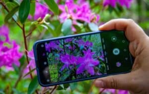 Descubre la Naturaleza con "App para Identificar Plantas"