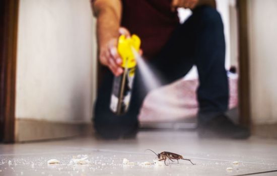 تخلص من الأيام الرخيصة 100% من المنزل