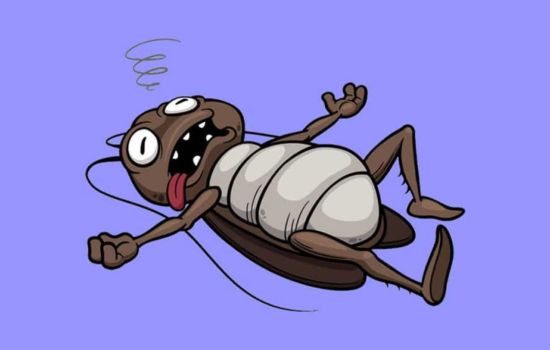 تخلص من الأيام الرخيصة 100% من المنزل