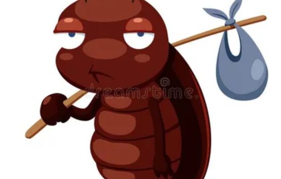 تخلص من الأيام الرخيصة 100% من المنزل