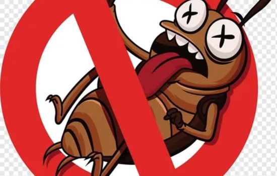 تخلص من الأيام الرخيصة 100% من المنزل