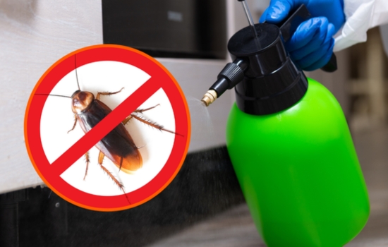 Elimina las baratas de tu hogar de forma efectiva con esta app