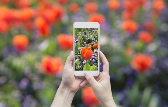 El arte de descifrar la naturaleza con tu cámara